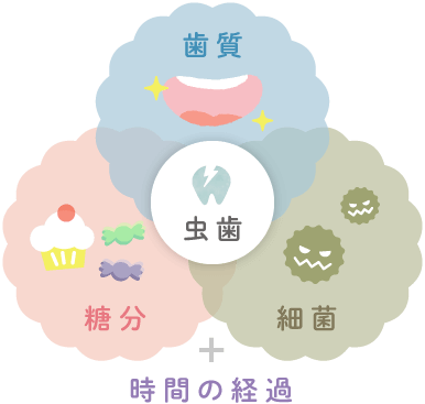 虫歯＝歯質＋糖分＋細菌＋時間の経過