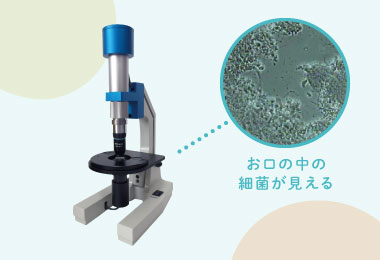 お口の中の細菌が見える